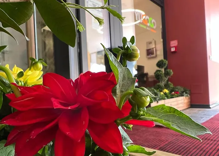 Yugogo Pellico 8 Centro 4* Trydent